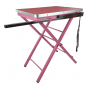 Preview: Hunde Trimmtisch 60x45x82 cm - Pflegetisch - Trimmarm - Farbe: rosa