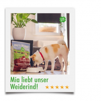 Hunde-Trockenfutter - Irisches Weiderind & Freiland-Huhn - Adult - div. Größen - mit Gemüse & Kelp-Alge