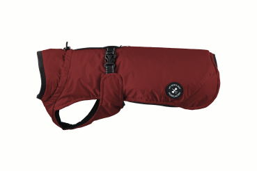 Regenjacke mit Leinenring -  Farbe: bordeaux - div. Größen