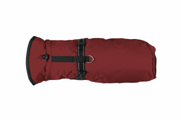 Regenjacke mit Leinenring -  Farbe: bordeaux - div. Größen