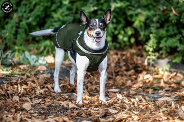 Winterjacke mit Leinenring -  Farbe: khaki - div. Größen