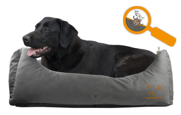 Hundesofa - 80x65 cm -  Farbe grau