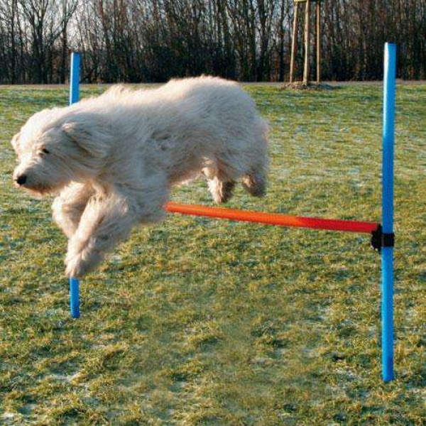 Agility Hürde - höhenverstellbar - 123x115x3 cm