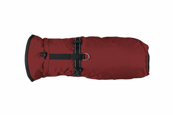 Regenjacke mit Leinenring -  Farbe: bordeaux - div. Größen